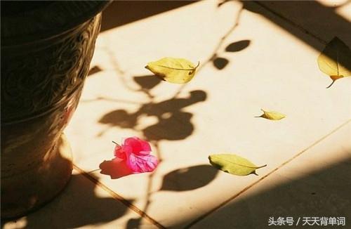 100条精辟人生箴言图片_2020十句人生箴言
