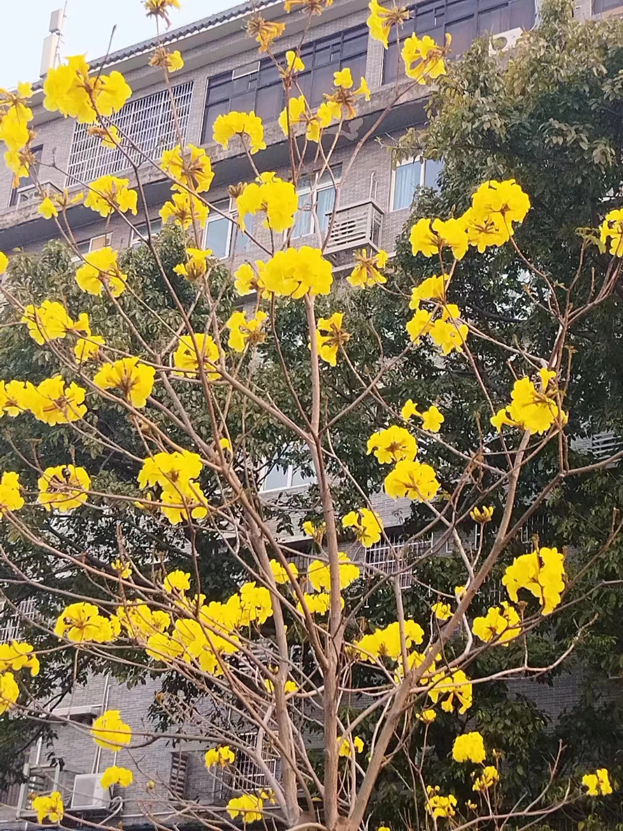 表扬孩子的好处_表扬孩子有什么好处