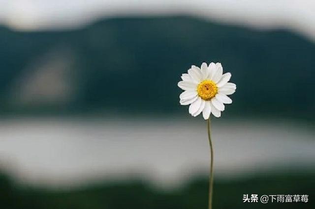 十则英语名言_十则英语名言有哪些