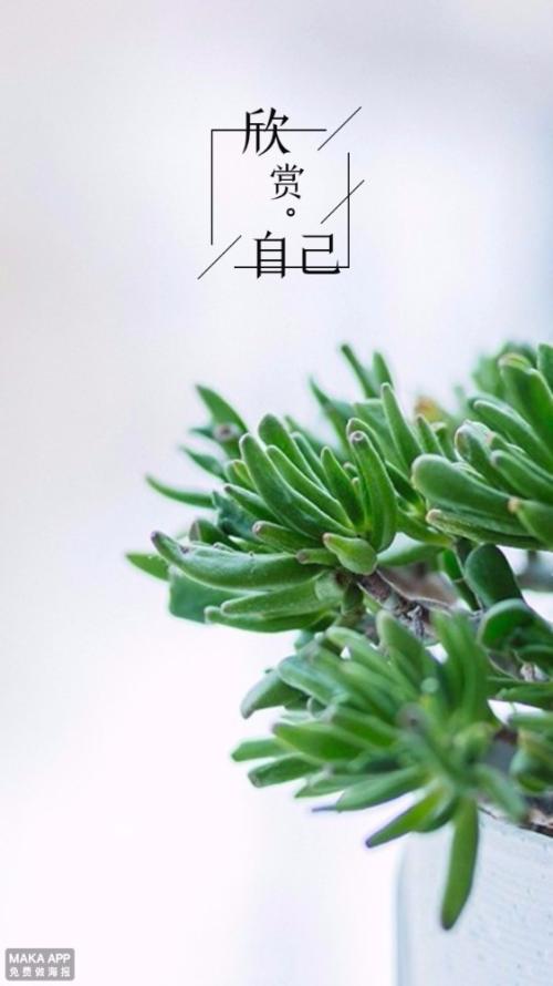 精句励志短语_励志精致短句