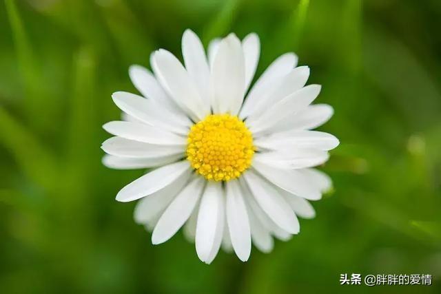 每天工作励志正能量一段话_每天一条工作正能量短句