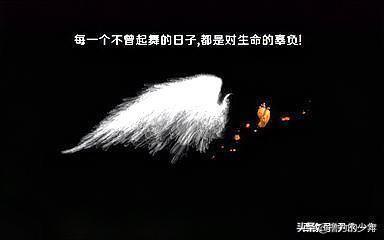励志名人经典语句_励志名人经典语录