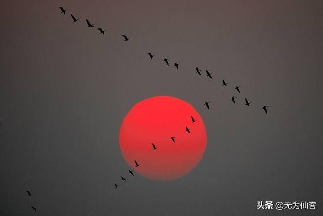 美到极致的文言文_美到极致的文言文翻译