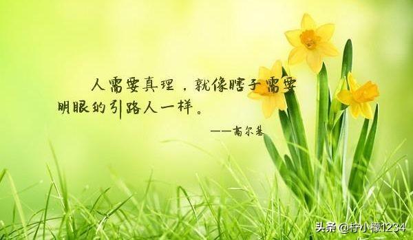 古代关于真理的名言_唯美古诗词富含真理的名言