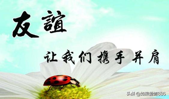 中国有关友谊的名言警句_有关友谊名言名句