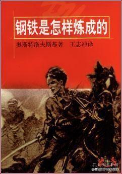 钢铁读书笔记摘抄好句和感悟