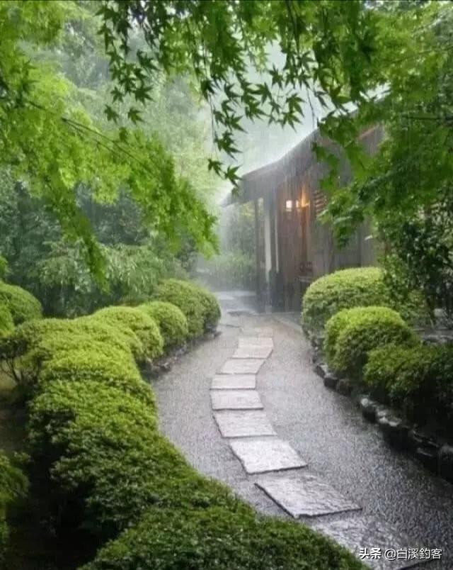 伤感句子图片带字(伤感句子图片带字大全)