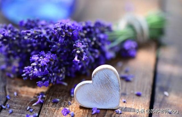 发个自己照片说点啥（高情商晒自己照片的句子）