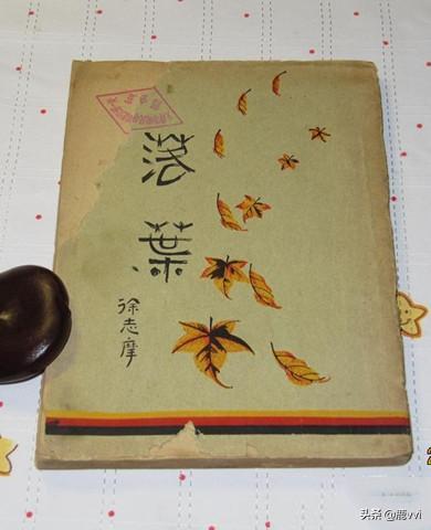 《落叶》徐志摩（《落叶》徐志摩优美句子摘抄）