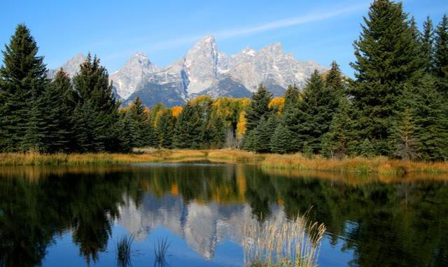 电影名句经典语录英文（电影名句 英文）