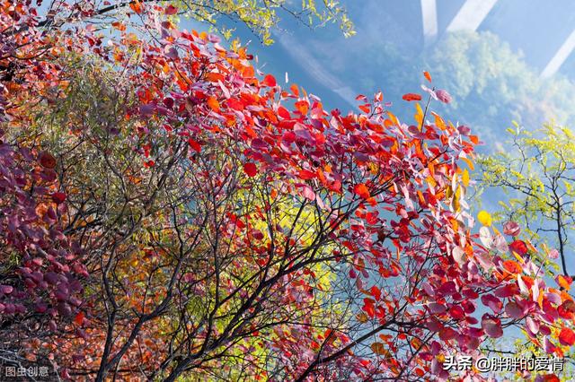 有关人生哲理的短句(关于人生哲理的佳句)