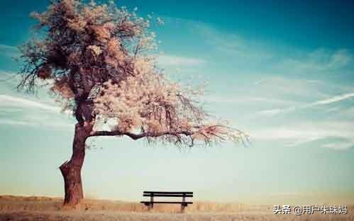 美好内涵的英文短句(含义美好的英文短句)