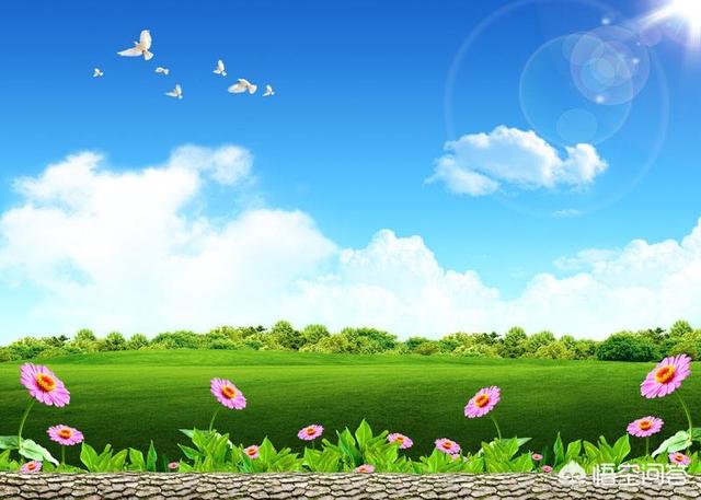 坚持为主题议论文800字高中（坚持为主题的议论文600）