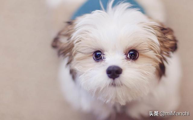 搞笑的qq签名简短（qq搞笑签名我要个性网）