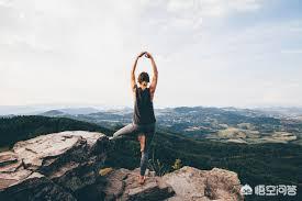 感恩老师的名言名句作文（感恩老师的名言名句作文素材）