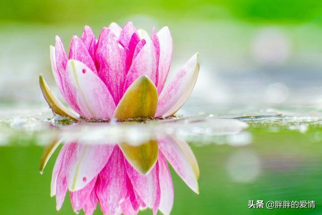 明白人生大道理的句子（明白人生道理的作文400）