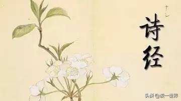 为什么诗经是经典（诗经里的诗歌大多为什么诗）