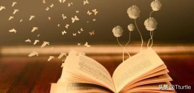 晒看书的唯美句子（晒看书的文案）